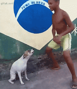 Cachorro Dançante - Gifs Engraçados da Internet